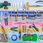 10 Must-Have Gardening Tools Every Gardener Should Own