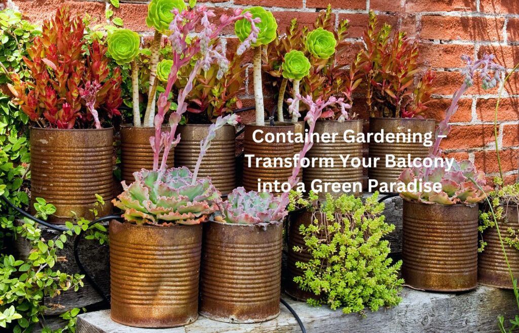 Container Gardening - Transform Your Balcony into a Green Paradise