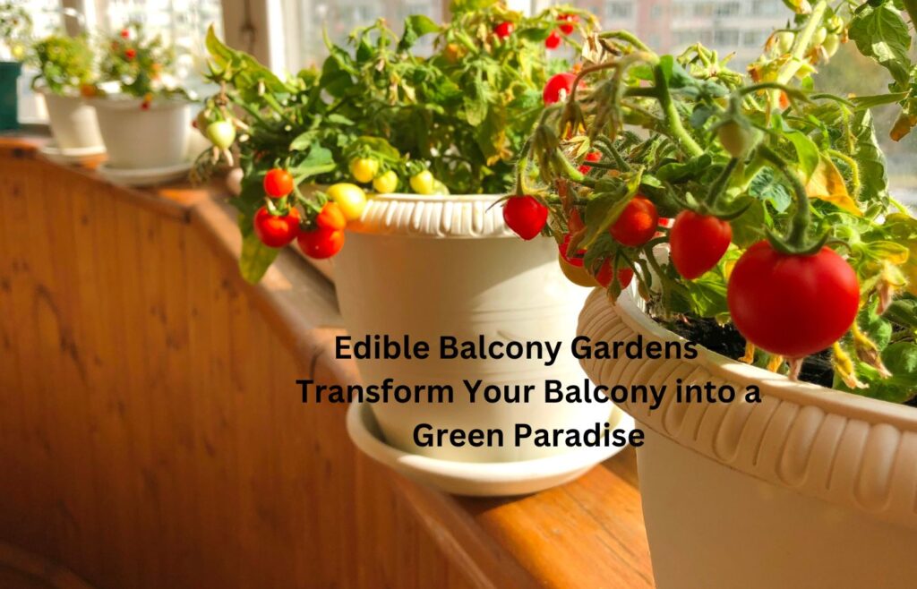 Edible Balcony Gardens - Transform Your Balcony into a Green Paradise