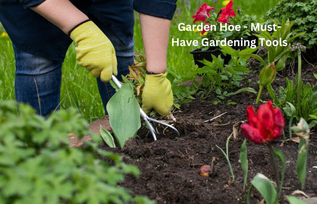 Garden Hoe - Must-Have Gardening Tools