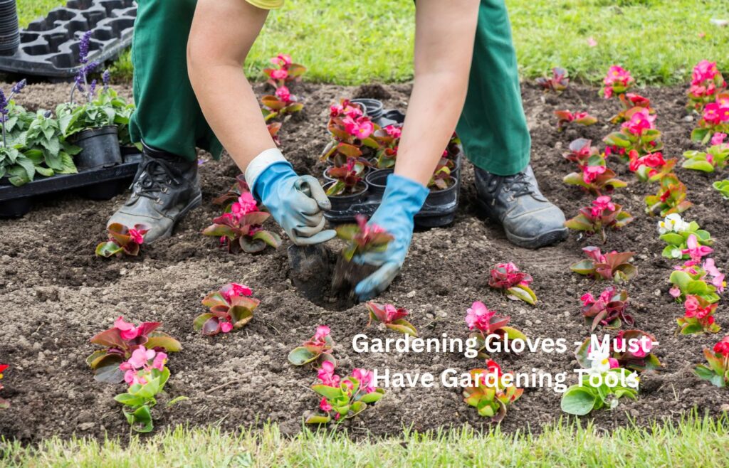 Gardening Gloves - Must-Have Gardening Tools