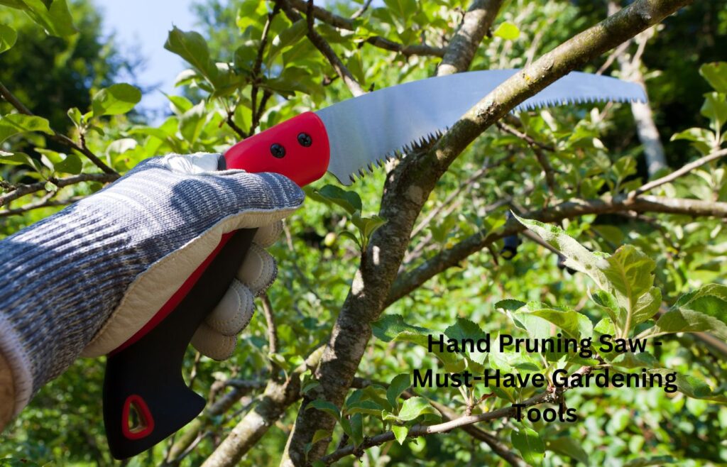 Hand Pruning Saw - Must-Have Gardening Tools