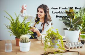 Indoor Plants 101 Best Low-Maintenance Houseplants