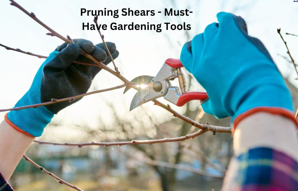 Pruning Shears - Must-Have Gardening Tools