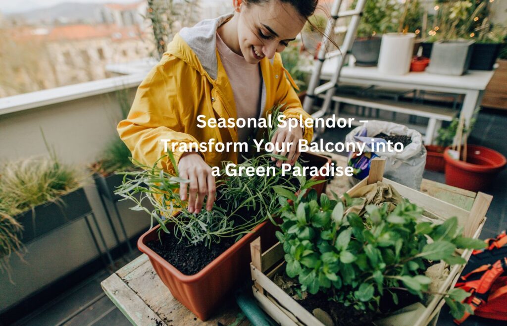 Seasonal Splendor - Transform Your Balcony into a Green Paradise