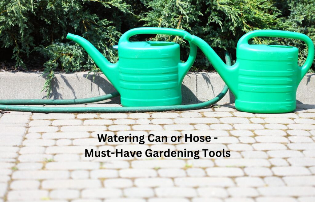 Watering Can or Hose - Must-Have Gardening Tools