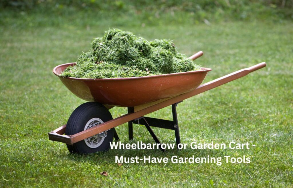 Wheelbarrow or Garden Cart - Must-Have Gardening Tools