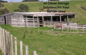 Clever Storage Solutions for Your Garden Shed