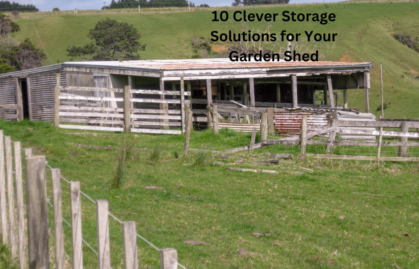 Clever Storage Solutions for Your Garden Shed