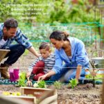 Transformative Benefits of Gardening as a Hobby Cultivating Joy, Health, and Connection