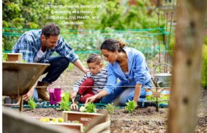 Transformative Benefits of Gardening as a Hobby Cultivating Joy, Health, and Connection
