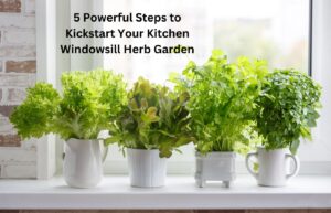 Powerful Steps to Kickstart Your Kitchen Windowsill Herb Garden