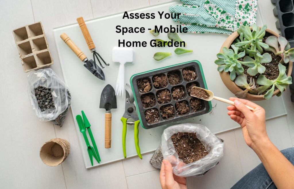 Assess Your Space - Mobile Home Garden