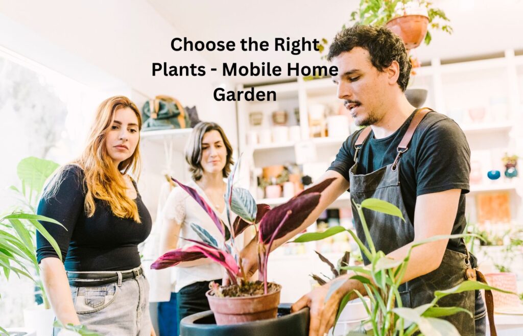 Choose the Right Plants - Mobile Home Garden