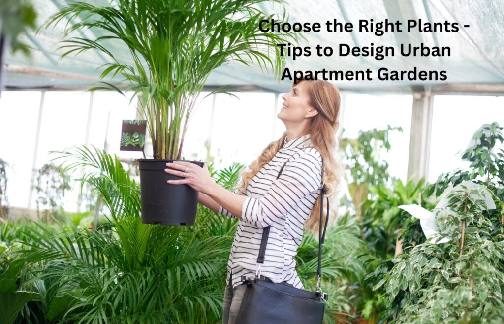 Choose the Right Plants - Tips to Design Urban Apartment Gardens