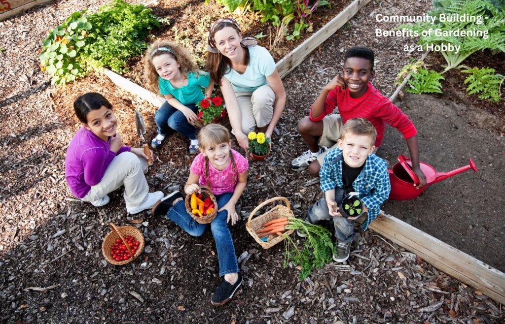 Community Building - Benefits of Gardening as a Hobby