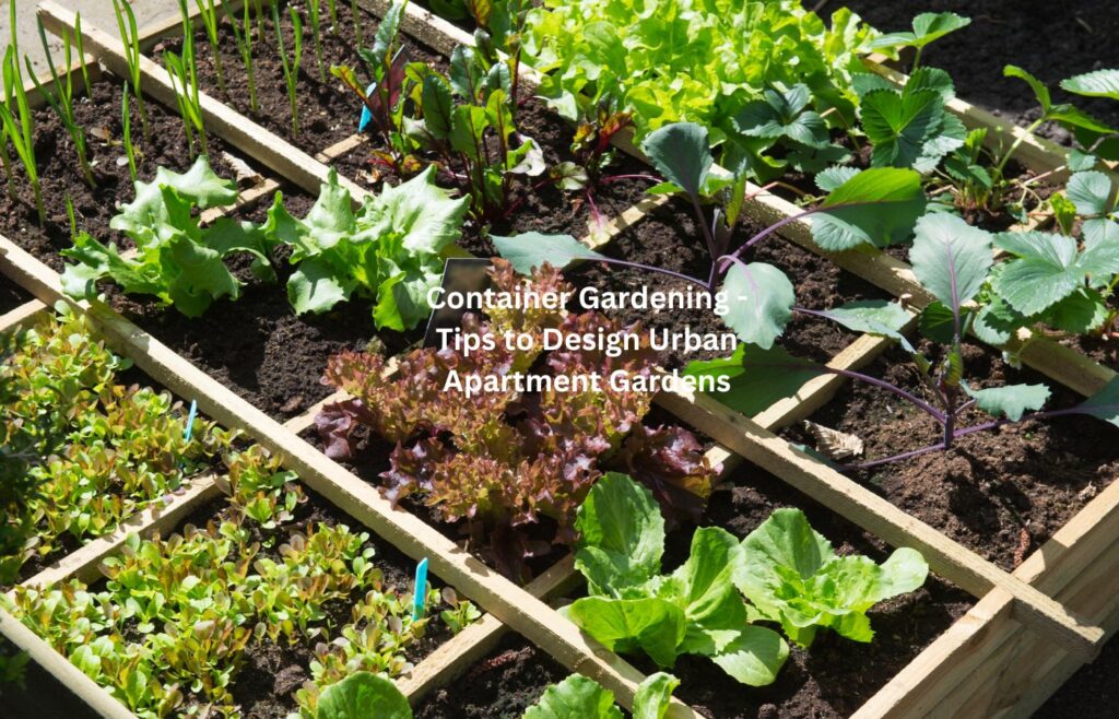 Container Gardening - Tips to Design Urban Apartment Gardens