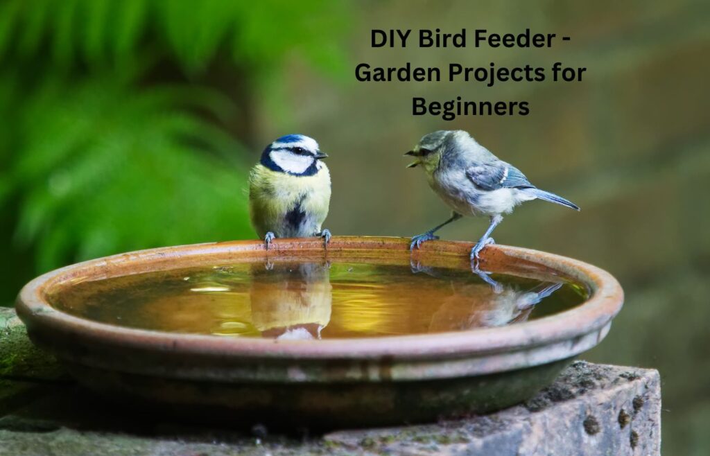DIY Bird Feeder - Garden Projects for Beginners