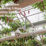 ElectroCulture Gardening 5 Ways Electric Currents Boost Plant Growth