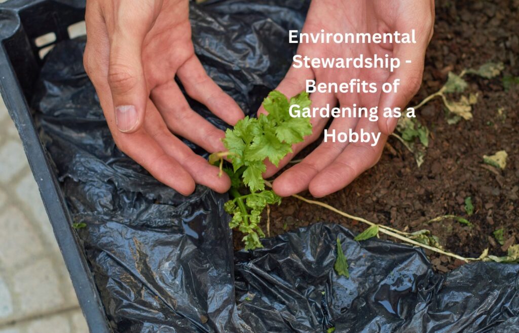 Environmental Stewardship - Benefits of Gardening as a Hobby