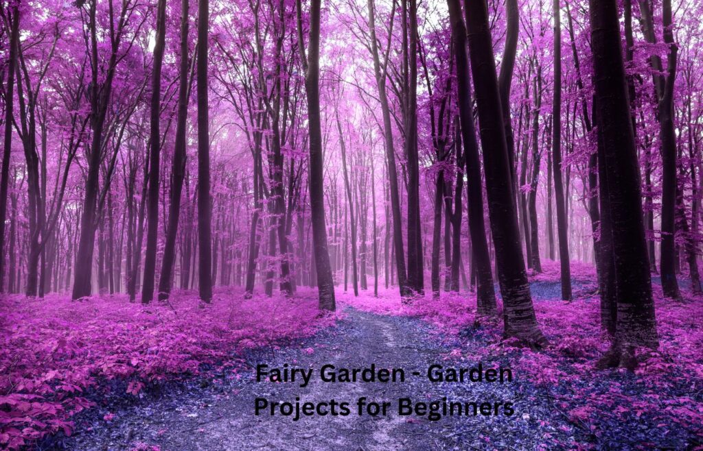 Fairy Garden - Garden Projects for Beginners