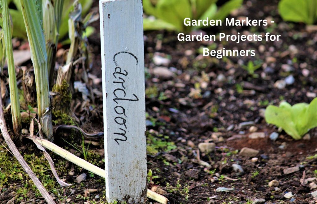 Garden Markers - Garden Projects for Beginners
