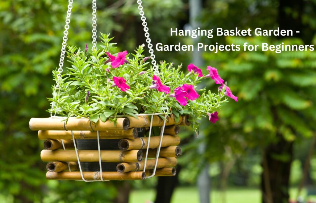 Hanging Basket Garden - Garden Projects for Beginners