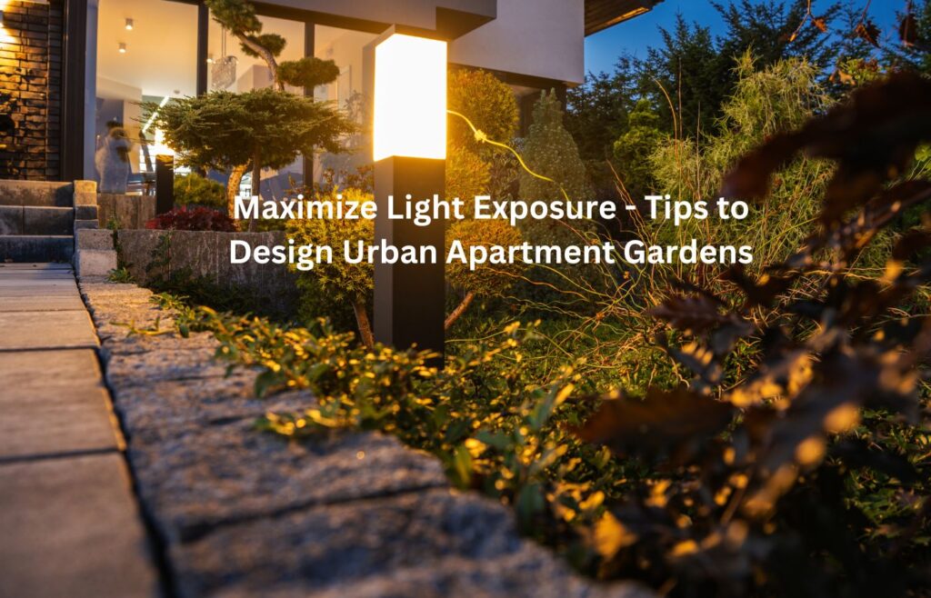 Maximize Light Exposure - Tips to Design Urban Apartment Gardens