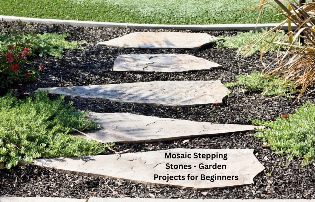 Mosaic Stepping Stones - Garden Projects for Beginners