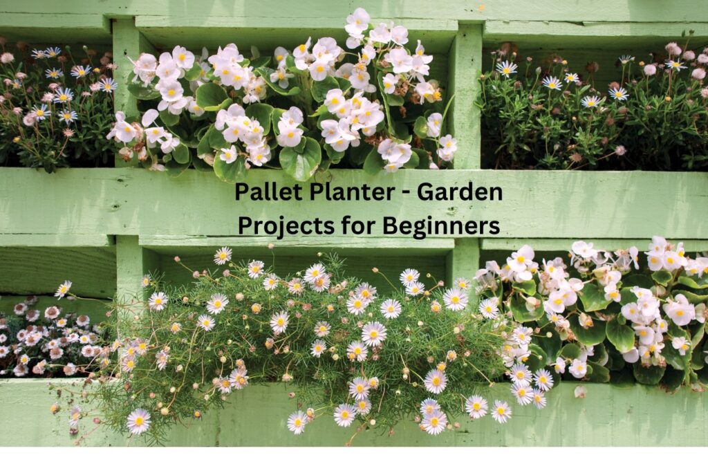 Pallet Planter - Garden Projects for Beginners