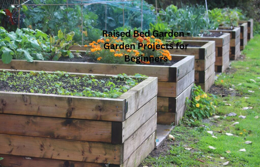 Raised Bed Garden - Garden Projects for Beginners