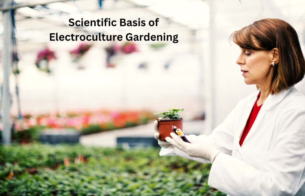 Scientific Basis of Electroculture Gardening