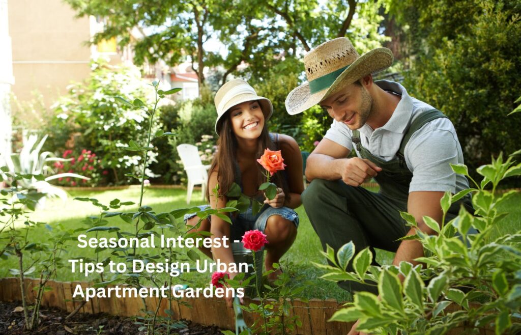 Seasonal Interest - Tips to Design Urban Apartment Gardens