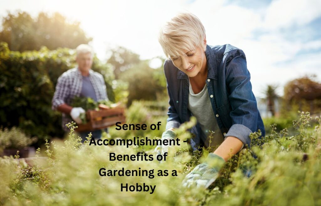 Sense of Accomplishment - Benefits of Gardening as a Hobby