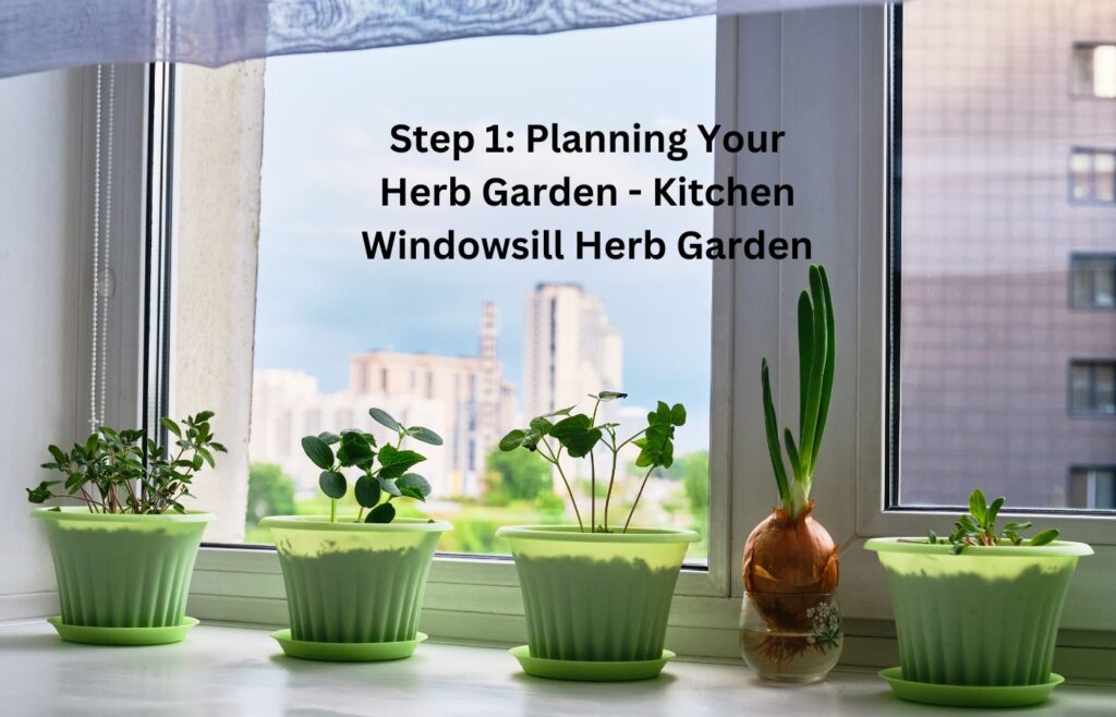 Planning Your Herb Garden - Kitchen Windowsill Herb Garden