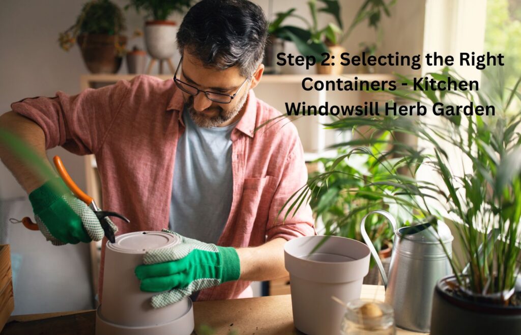 Step 2: Selecting the Right Containers - Kitchen Windowsill Herb Garden