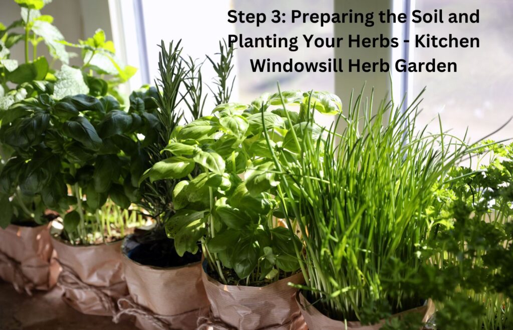 Step 3: Preparing the Soil and Planting Your Herbs - Kitchen Windowsill Herb Garden