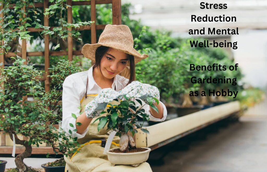 Stress Reduction and Mental Well-being - Benefits of Gardening as a Hobby