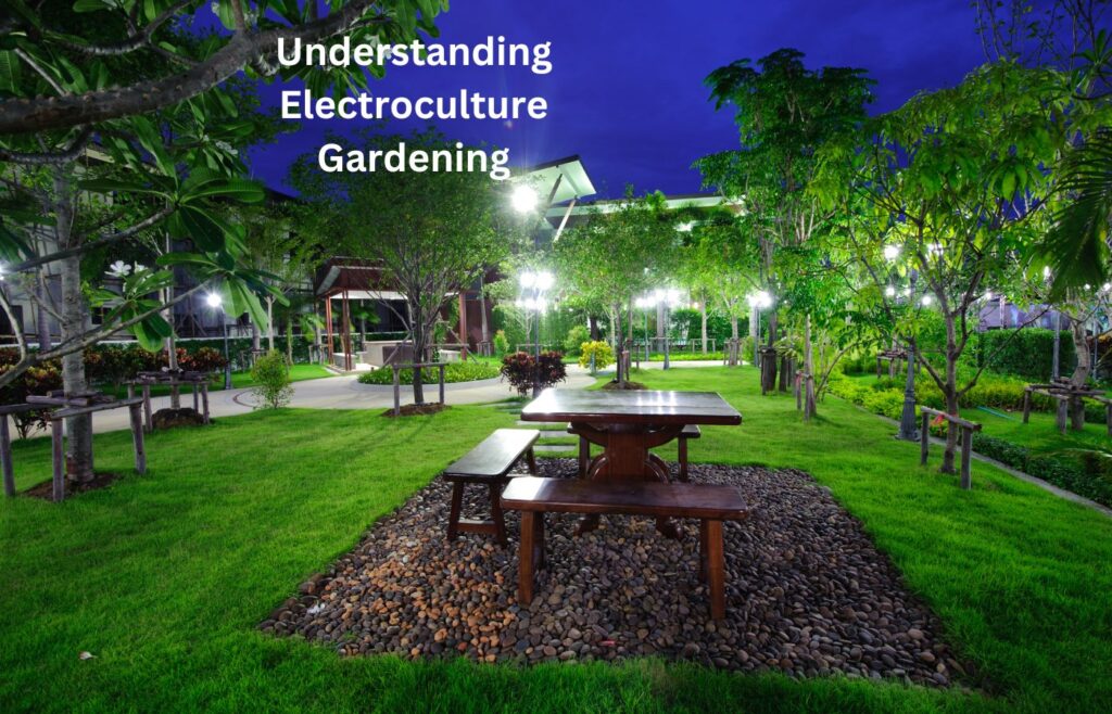 Understanding Electroculture Gardening