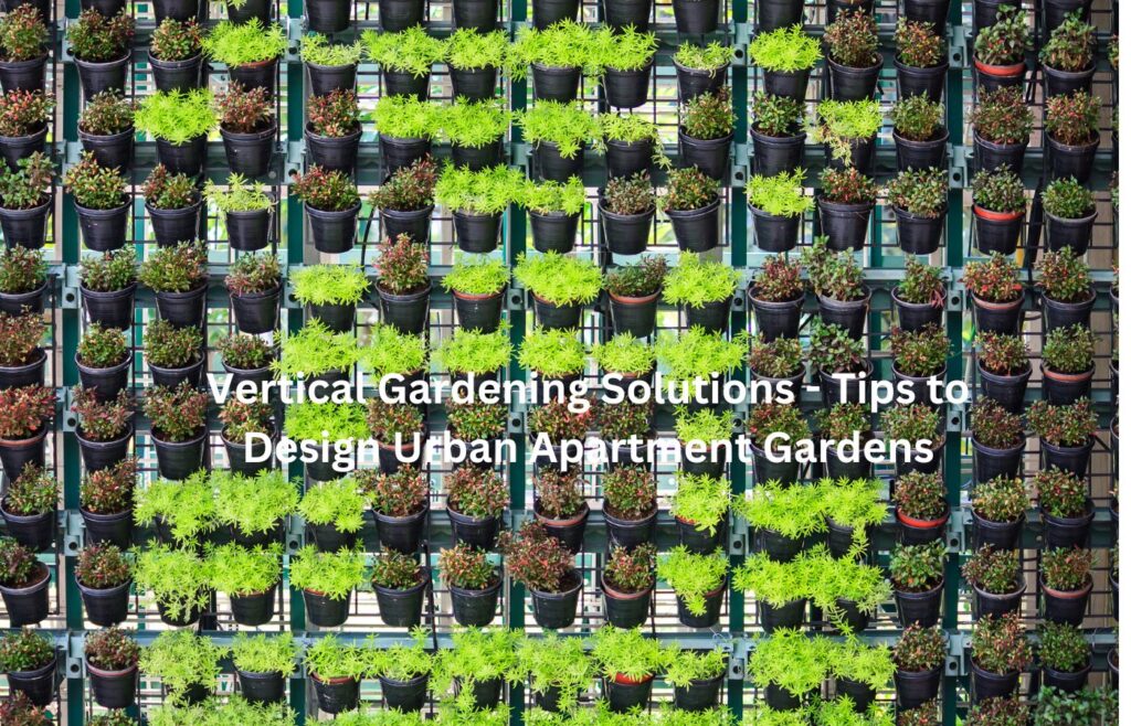 Vertical Gardening Solutions - Tips to Design Urban Apartment Gardens