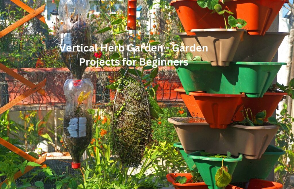 Vertical Herb Garden - Garden Projects for Beginners