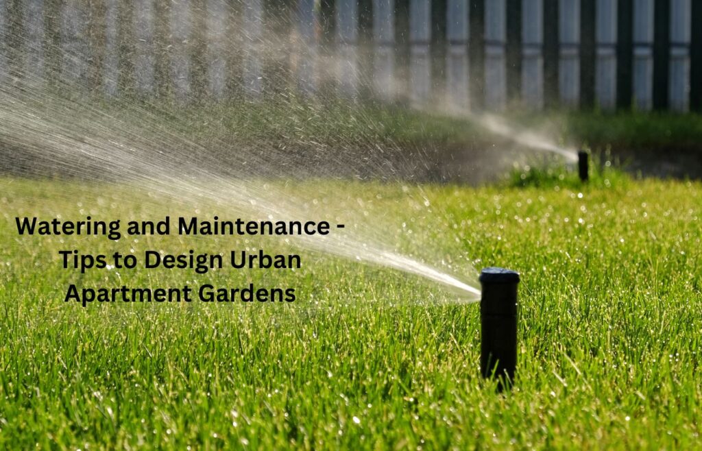 Watering and Maintenance - Tips to Design Urban Apartment Gardens