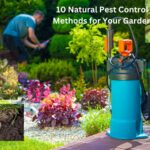 10 Natural Pest Control Methods for Your Garden