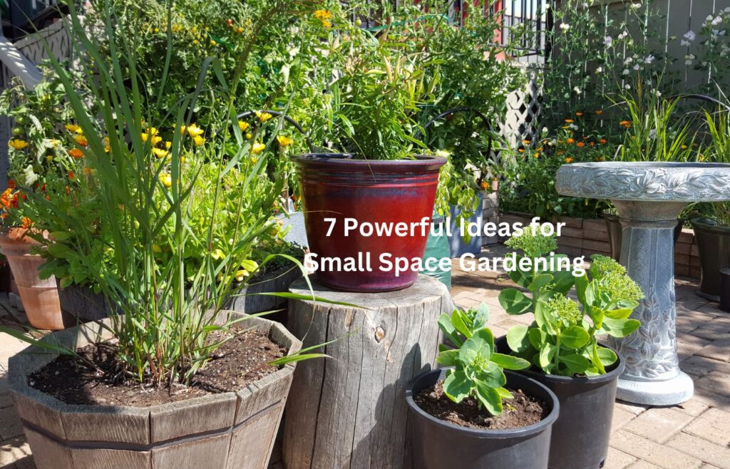 7 Powerful Ideas for Small Space Gardening