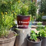 7 Powerful Ideas for Small Space Gardening