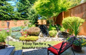 9 Easy Tips for a Beautiful Garden