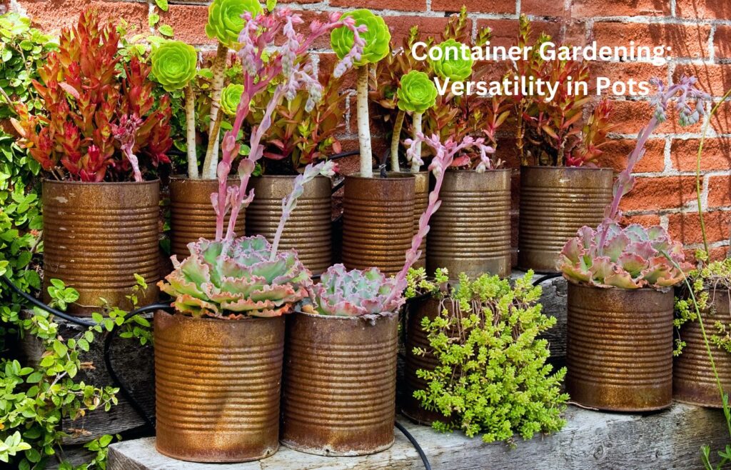 Container Gardening Versatility in Pots - Ideas for Small Space Gardening