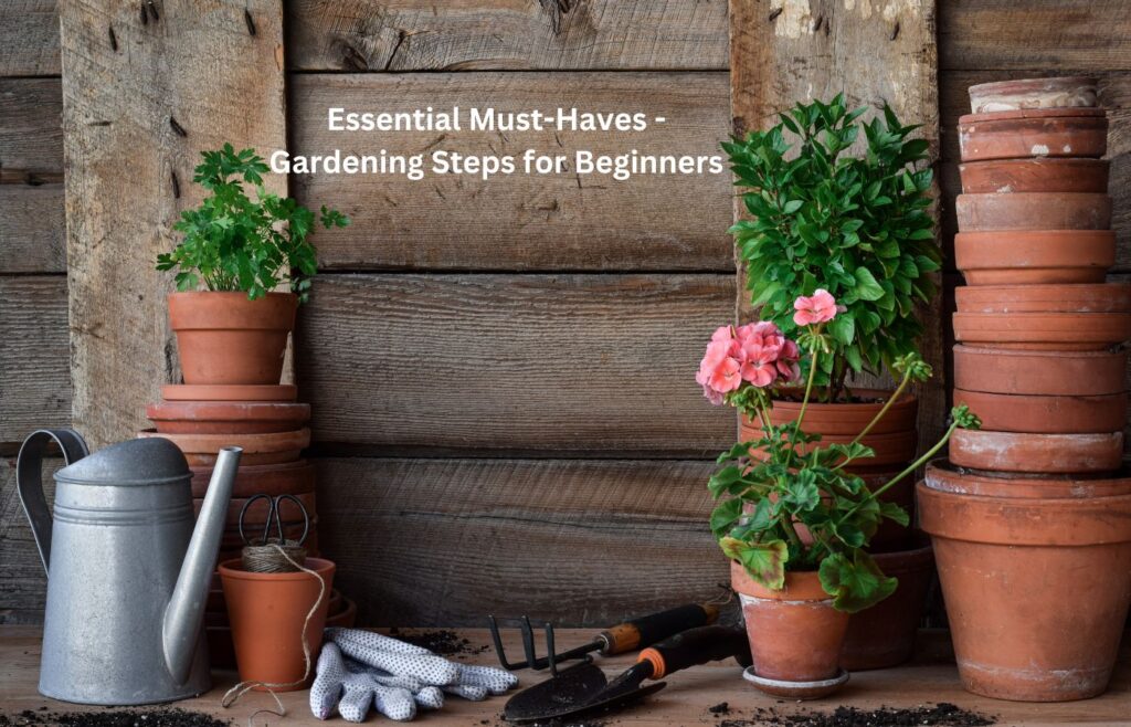 Essential Must-Haves - Gardening Steps for Beginners