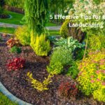 Effective Tips for Garden Landscaping