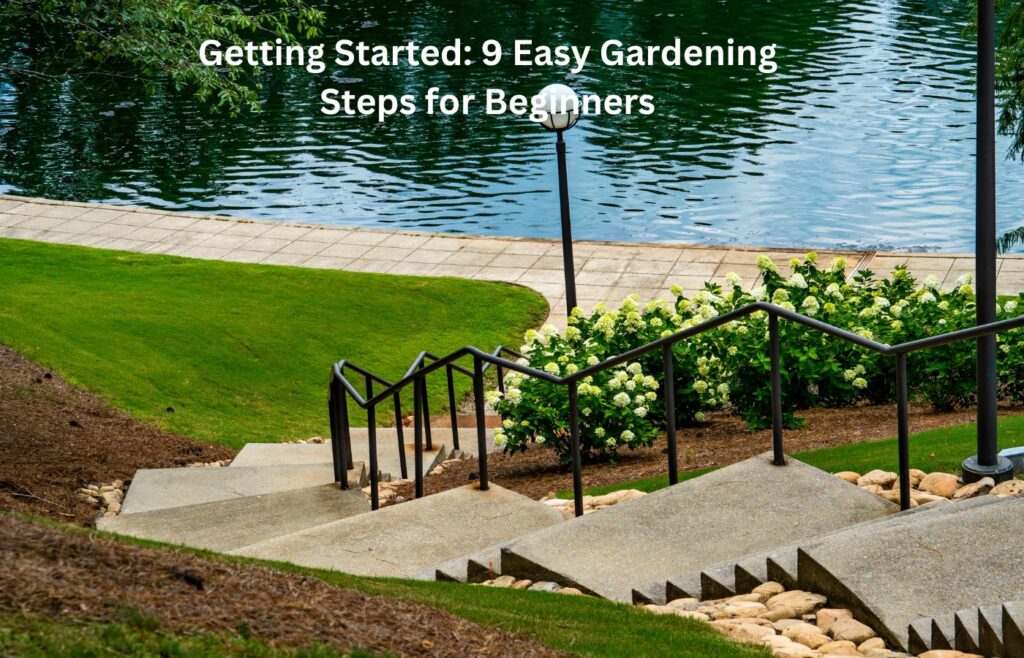 Easy Gardening Steps for Beginners